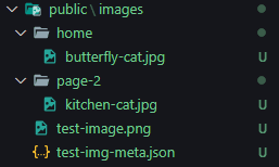 Next.js public images folder