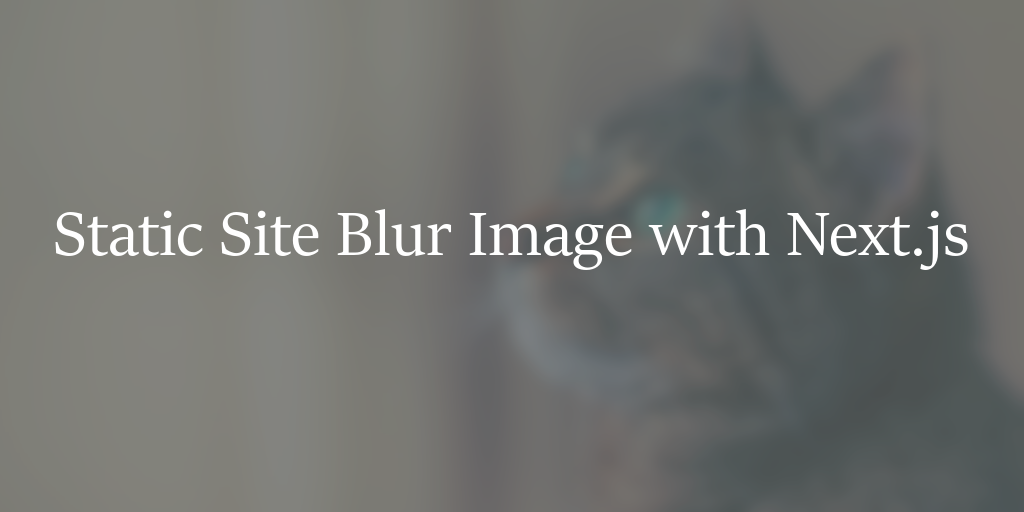 Create a Blur Up Image Pipeline with Next.js using Static Rendering